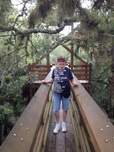 Suspension bridge at Myakka River State Park